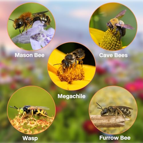 Niströhren für Wildbienen 300 Stück 14.5 cm Länge Nisthülsen Insektenhotel Füllmaterial Weizenhalme Nisthilfen Bienen Röhrchen DIY Bienenhotel Bausatz