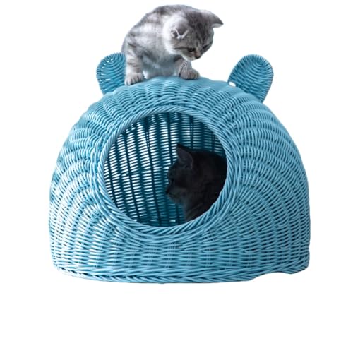 WIOLELB ^ 傫 􂦂 LbgnEX h[    ~ ybgnEX h[^ L nEX xbh ʔN Lbgxbh  ې \ ҂ ʋC [ g[ I[V[Y KB (,Cgu[)