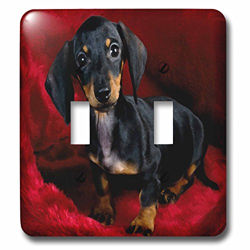 Impression peinture teckel double interrupteur multicolore plaque murale de deco - 3