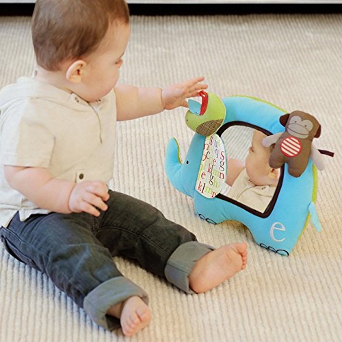 Skip Hop Alphabet Zoo Activity Mirror, Multi