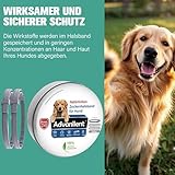Advanllent Zeckenhalsband für Hunde 2 Stück, Flohhalsband Hunde, Floh und Zeckenhalsband Hund, Zeckenschutz Flohschutz Halsband für Hund, 16 Monate Zeckenschutz