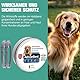 Advanllent Zeckenhalsband für Hunde 2 Stück, Flohhalsband Hunde, Floh und Zeckenhalsband Hund, Zeckenschutz Flohschutz Halsband für Hund, 16 Monate Zeckenschutz