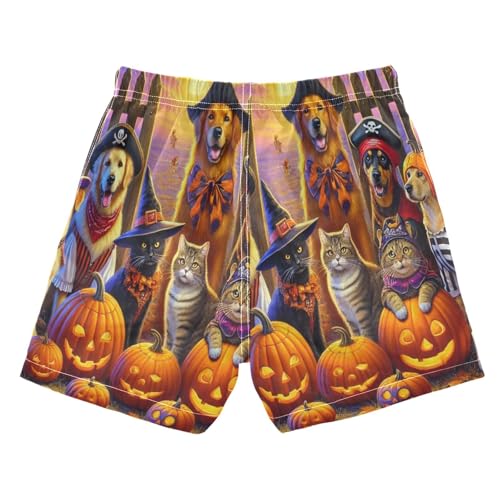 Cute Dogs Halloween Boys Swim Trunks Quick Dry Toddler Swimsuit Boy Board Shorts Bathing Suits Swimwear 5T Multi2