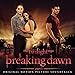 Twilight Saga: Breaking Dawn