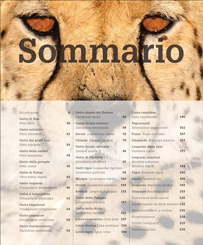 Guida Ai Felidi Selvatici Del Mondo - 4