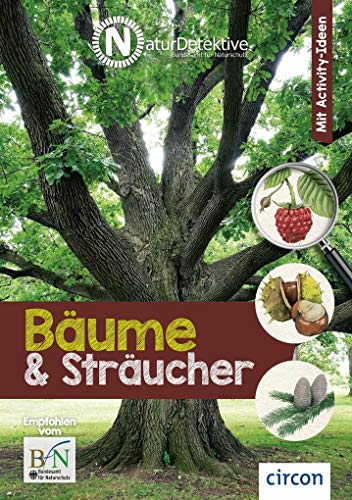 Bäume und Sträucher: Mit Activity-Ideen (Naturdetektive: Wissen und Beschäftigung für kleine Naturforscher ab 6 Jahren)