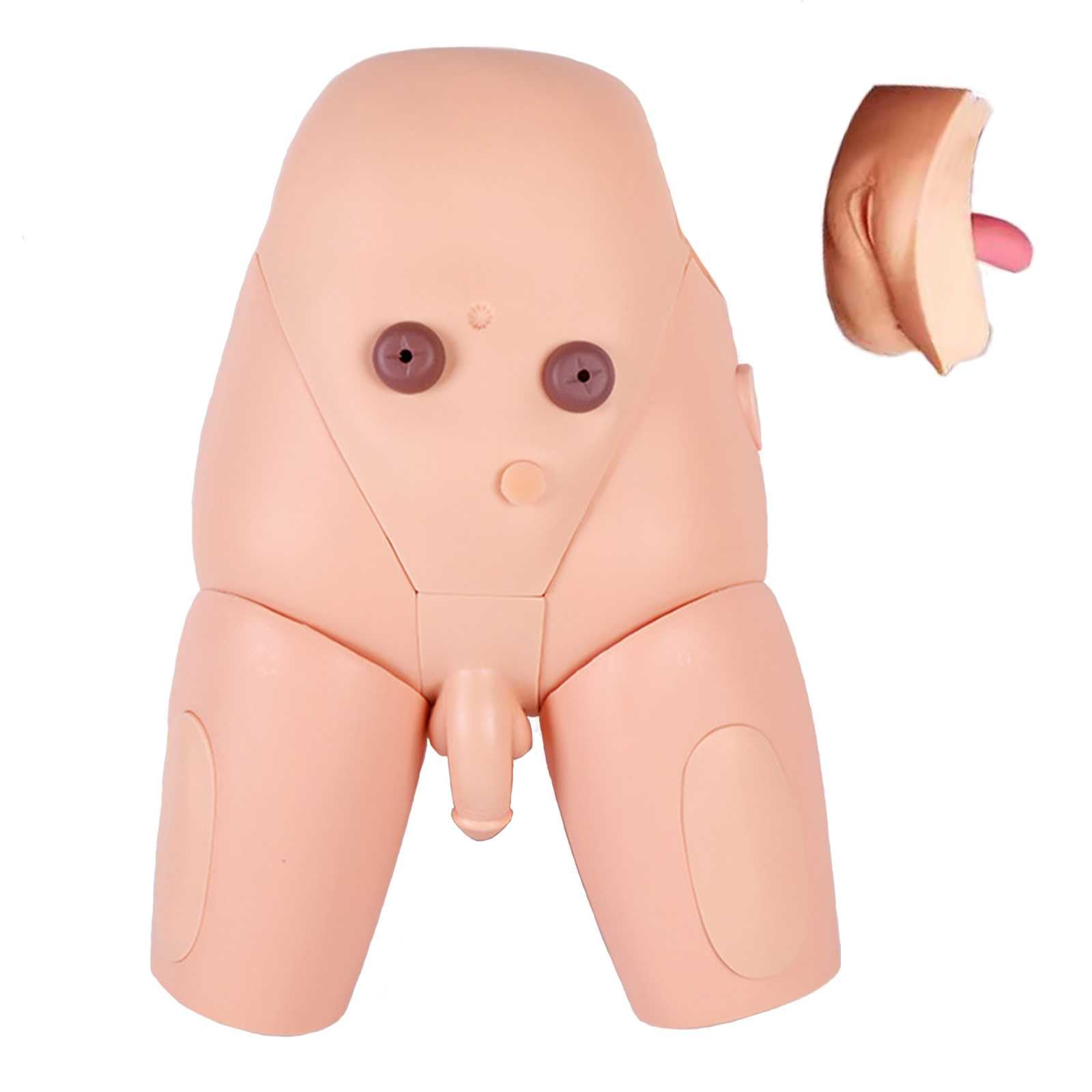 Modèle de cathéter urinaire AMITD avec fesses et membres inférieurs pour soin