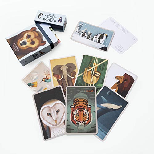 Wild Animals of the World: 50 Postcards - Image 5