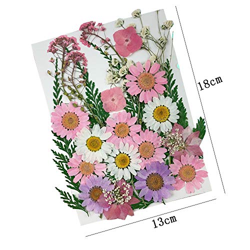 2 Pezzi Fiori Secchi Organici Naturali Misti,Fiori...