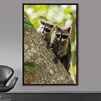 Framed Canvas Wall Art Raccoons Animals Fun Living Room Multicolor Photography Rustic Squirrel - 16x24 inches
