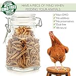 PICKY-NEB-100-Non-GMO-Dried-Mealworms-Whole-Large-Meal-Worms-Bulk-High-Protein-Treats-Perfect-for-Your-Chickens-Ducks-Wild-Birds