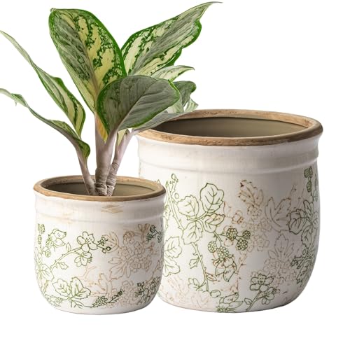 Set of 2 Ceramic Planters for Indoor Plants