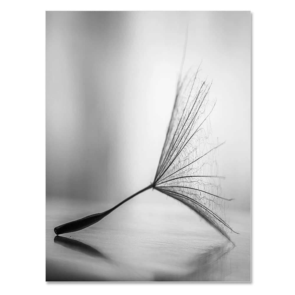FSLEOVN 3 Pezzi Moderno Quadro su Tela Stampa su Tela Fiori di Dente di Leone Poster Nero Bianco Fiori di Dente di Leone Tela Estetica Poster Senza Cornice (50x70cm)