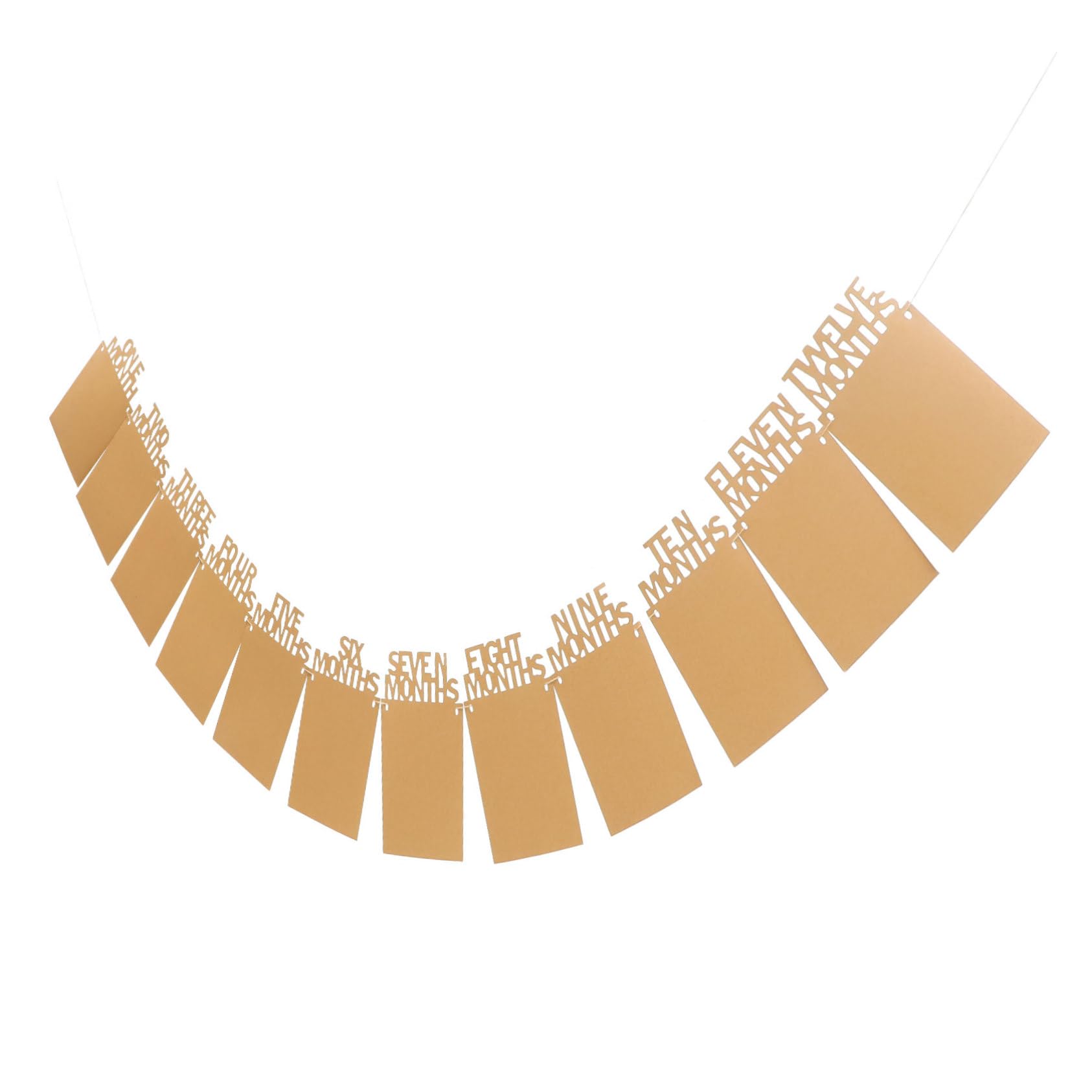 Cabilock 1 Set First Birthday Photo Banner Adorable Hanging Decoration for Newborns to Months Picture Frame Design for Special Occasions