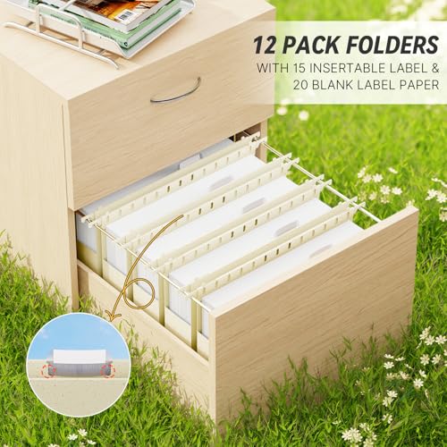 XINGIA Hanging File Folders Legal Size, 2" Expansion, Legal Hanging File Folders for Filing Cabinet, 12 Pack File Folders Legal Size 1/5-Cut Tabs, Stay Organized for Your Home and Office Bulk File by XINGIA - Used condition - Image 3