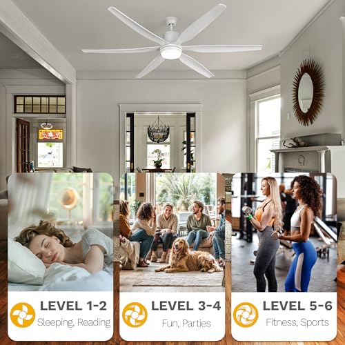 DWVO 66 inch Ceiling Fan with Lights, Smart Ceiling Fan with App & Remote Control, 3CCT Lighting, 6-Speed Reversible Quiet DC Motor for Living Room, Dining Room, Bedroom - White