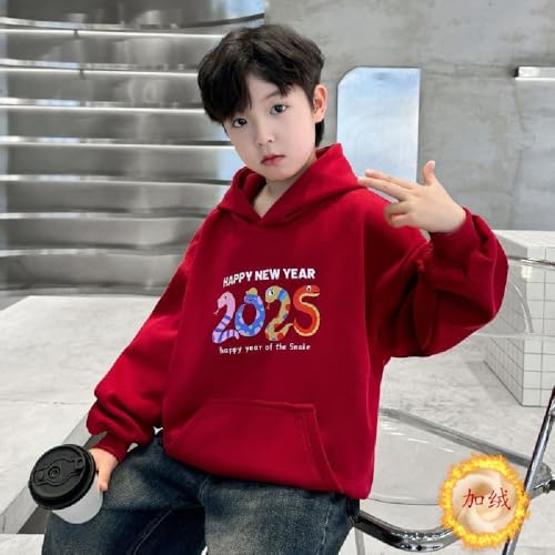 Chinese New Year Boys' autumn and winter velvet padded hooded sweatshirt 2025 snake year red sweatshirt3