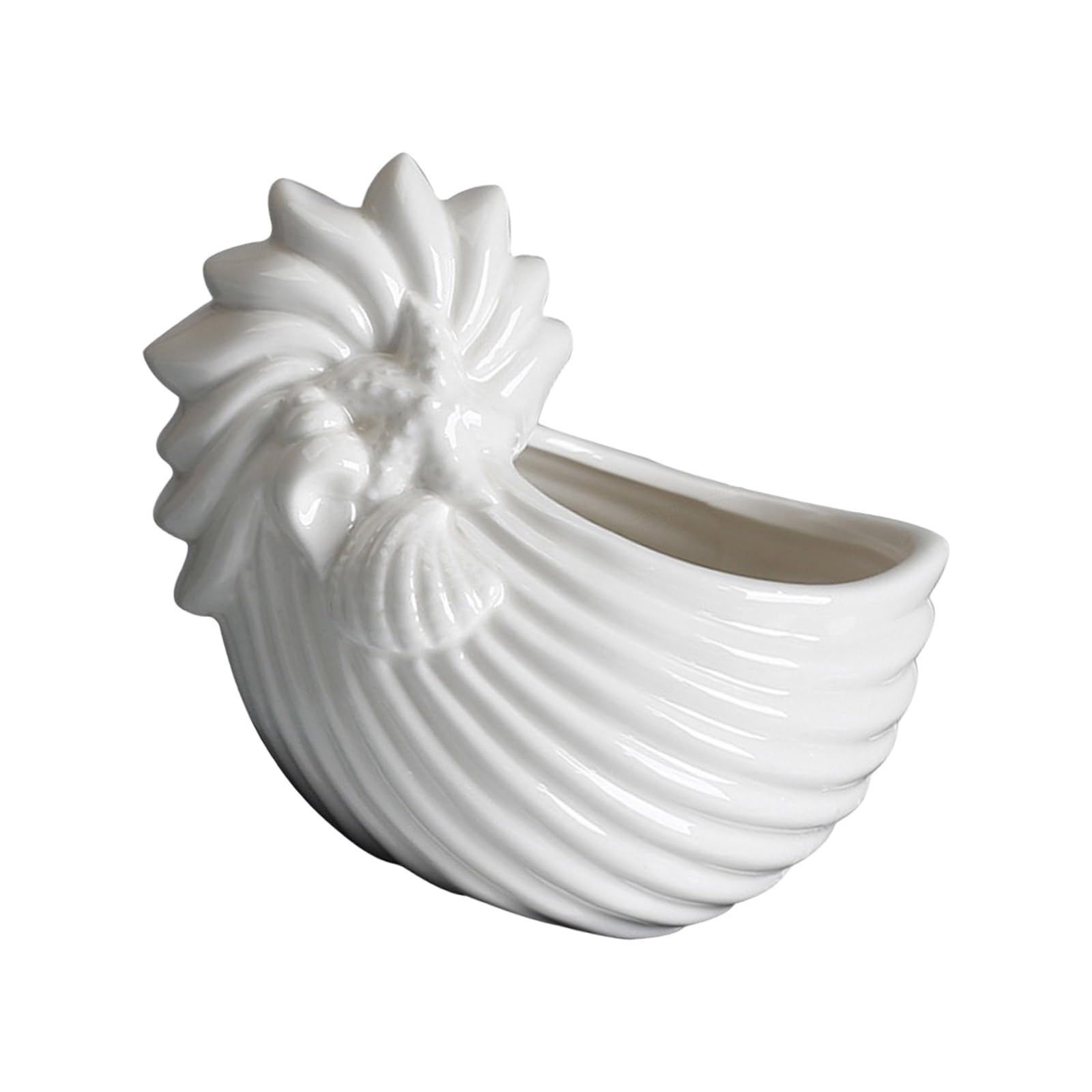 Buxuaaaa Ceramic Conch Shape Holder for Home Decors Marine Theme Succulents Pots Miniature Planter Decorative Vessel Decorative Ceramic Holder Cup