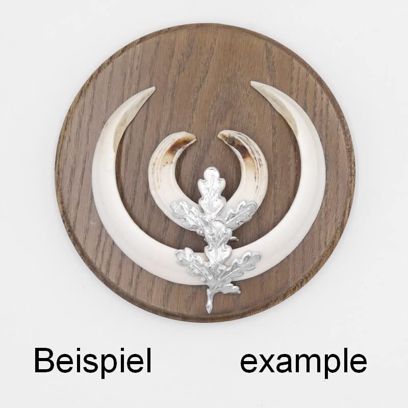 Generisch 10 placas de cuña redondas marrón AF 17 cm con 20 hojas de aluminio de roble, tablas de cuña, tabla de especias, cartel trofeo.