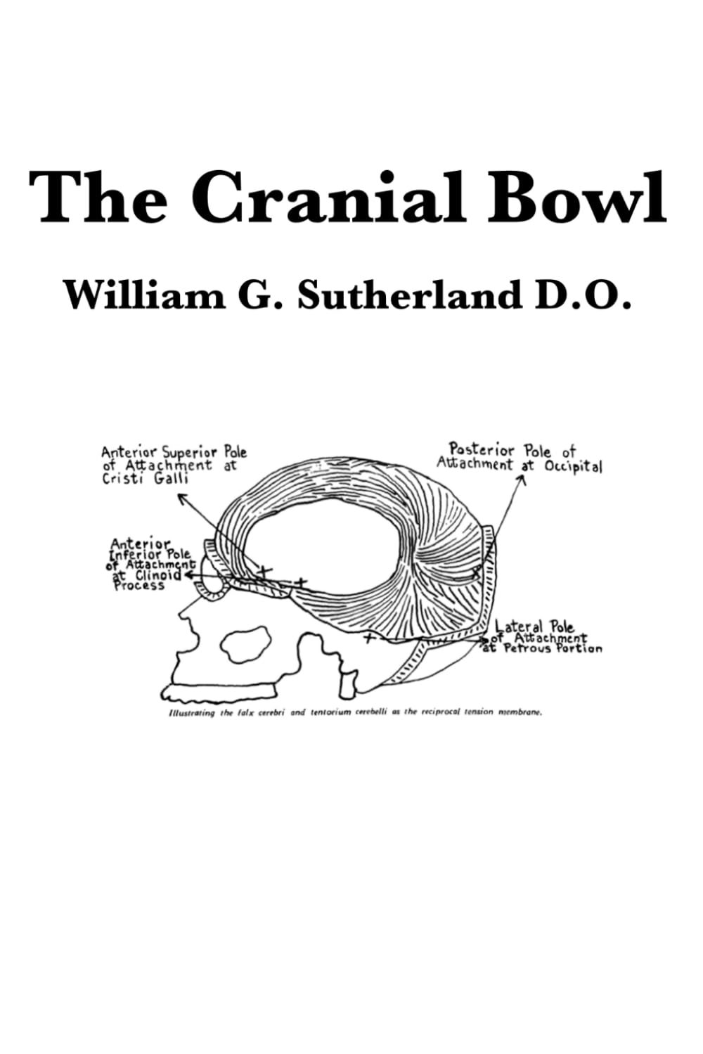 The Cranial Bowl: Sutherland, William Garner, Sánchez