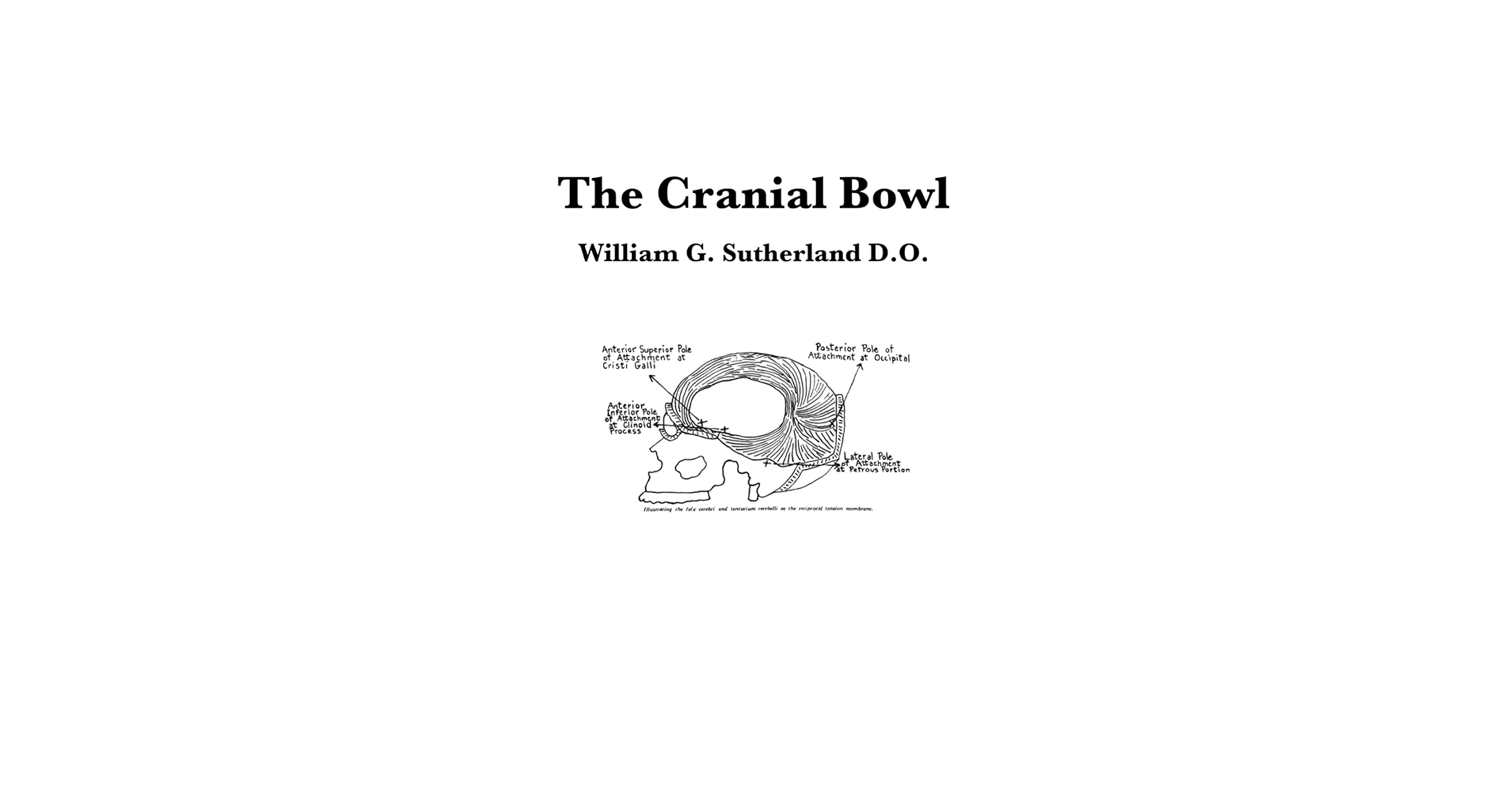 The Cranial Bowl: Sutherland, William Garner, Sánchez