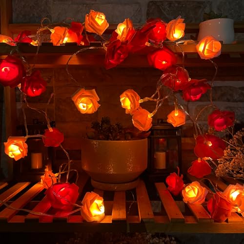 TourKing Rose Flower String Lights 19.6 Ft 40 LED Artificial Rose Garland Fairy Lights USB Charged Rose Light for Wedding Anniversary Garden Party Decor Gift for Girls (Pink+Red) - Image 2