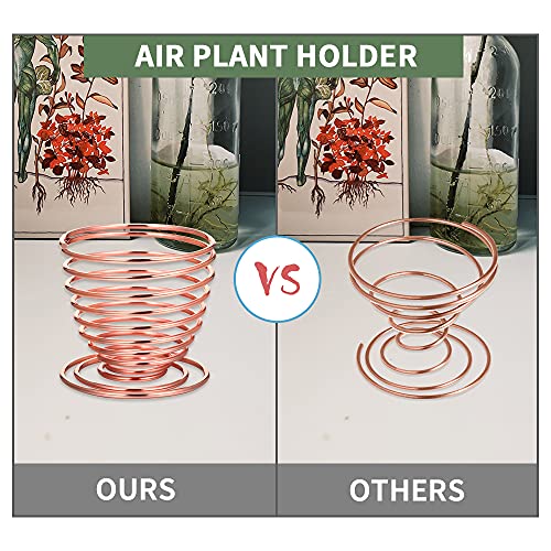 Liyi Air Plant Holder, 8 Pcs Air Plant Stand Container Stainless Steel Air Plant Display Racks For Home Decor Indoor Air Plants (Rose Gold) #TOP2