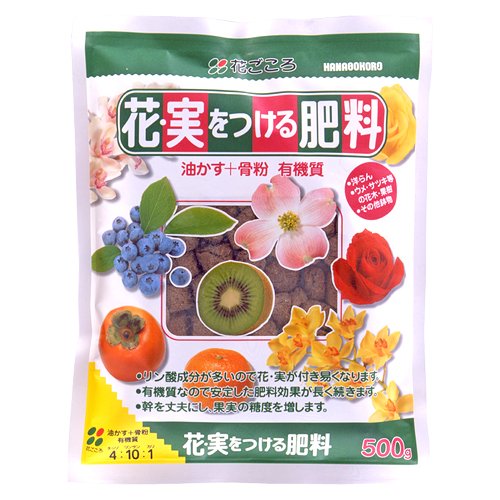 アスターとは 鮮やかな花を咲かせる育て方の手順を簡単にご紹介 暮らし の