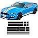 YKANZS Autocollant de Jupe de Bande latérale de Vinyle de Fiber de Carbone de Corps de Coffre de Toit de Capot de Voiture, pour Les Accessoires de Ford Mustang GT Shelby 500 2015-On
