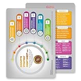 Roulette Strategy Cheat Sheet Vol. 1 - Probability-Based Casino Strategy Guide with QR Code Access | Game Guide for Casino Players | 2-Sided Reference Card | Casino Income Academy