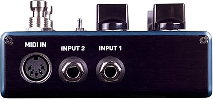 Amazon.co.jp: Source Audio SA263 COLLIDER Delay Reverb ディレイ