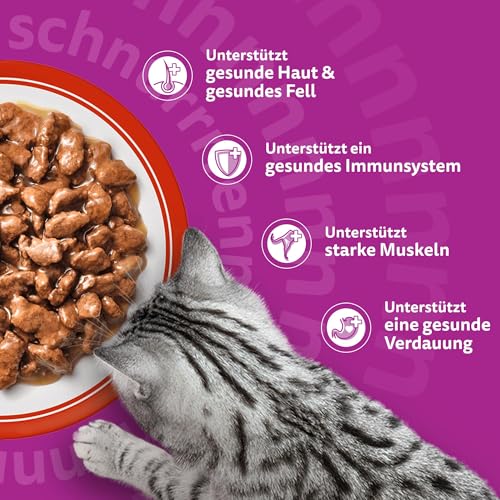 WHISKAS Nassfutter in Sauce für Katzen 84 x 85g Klassische Auswahl