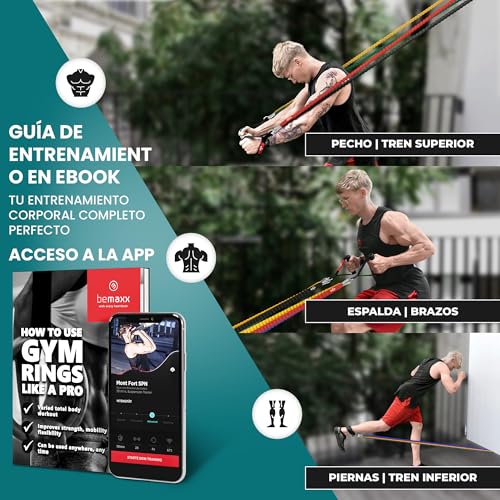 Juego de Bandas de Resistencia elásticas + guía de Ejercicios – Cintas Profesionales: 5 Tubos de látex + Tobillera, Anclaje para Puerta & Asas Acolchadas | Fitness, Gimnasio, fisioterpia, Culturismo - imagen 8