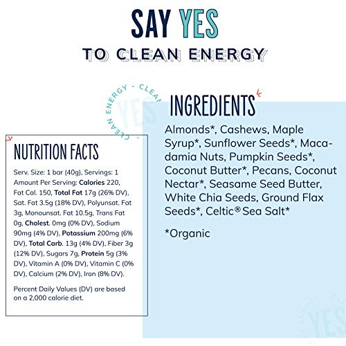 Yes Bar – Salted Maple Pecan – Plant Based Protein, Decadent Snack Bar – Vegan, Paleo, Gluten Free, Dairy Free, Low Sugar, Healthy Snack, Breakfast, Low Carb, Keto Friendly (Pack Of 6) #TOP1