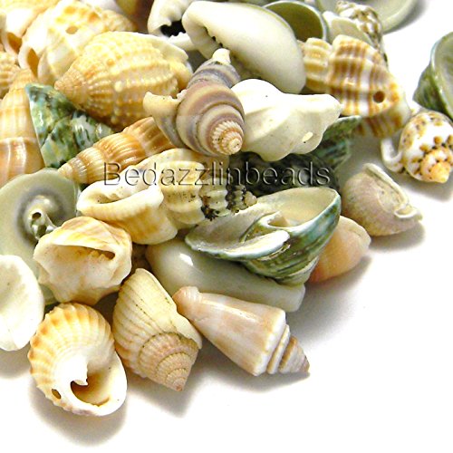 Lot of 50 Small Assorted Whole Sea Shell Seashell Charms and Beads with Holes