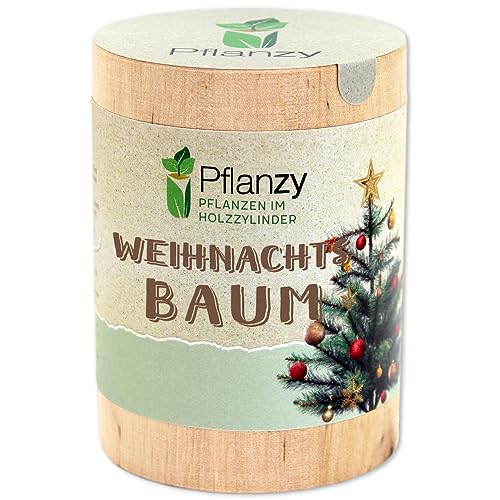 Feel Green Pflanzy Weihnachtsbaum, Nachhaltige Geschenkidee (100% Eco Friendly), Grow Your...