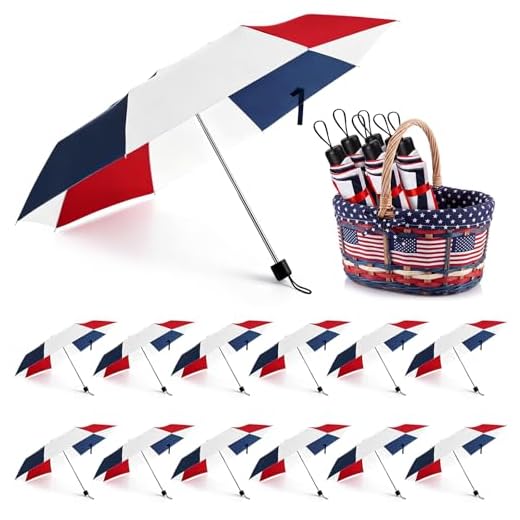 Patriotic Folding Umbrella Set for Events
