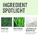 Vibrant Health, Green Vibrance, Superfoods Powder with 70+ Plant-Based Whole Foods & 25 Billion Probiotics Per Serving, Blueberry Lemon, 25 Servings