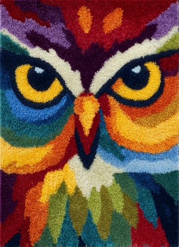 Latch Hook Rug Kit Colorful Owl Portrait with Pre-Printed Mat Cover DIY Cushion Crochet Yarn Hooking Craft Set for Floor Decor 38x52cm