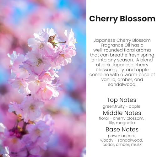 Image of HoogaLife Car Air Freshener Diffuser 2 Pack Hanging Cherry Bloom Car Air Freshener for Women 45+ days Long Lasting Fragrance Made in USA (C12)