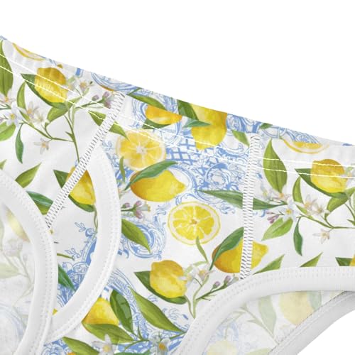 Boys' Exclusive Briefs Toddler Underwear 95% Combed Cotton Boxerbriefs 2T Lemon and Butterfly Pattern 624