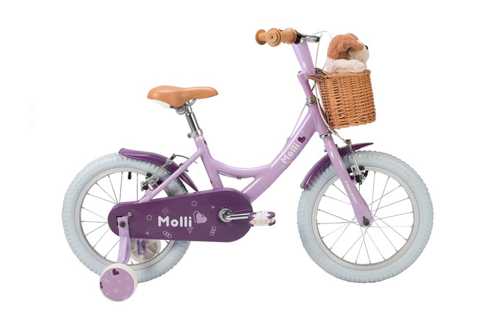 raleigh molli 12