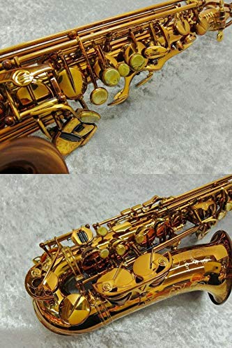 Amazon | Cannonball キャノンボール アルトサクソフォン VINTAGE