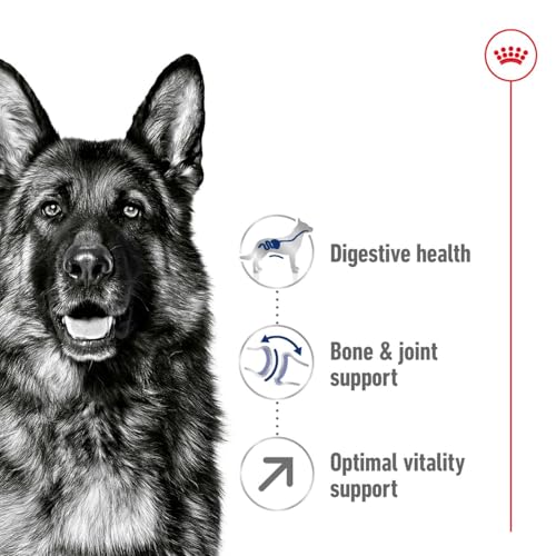 Royal Canin Medium Mature, 5+, 4 kg, 1er Pack (1 x 4 kg Packung), Hundefutter