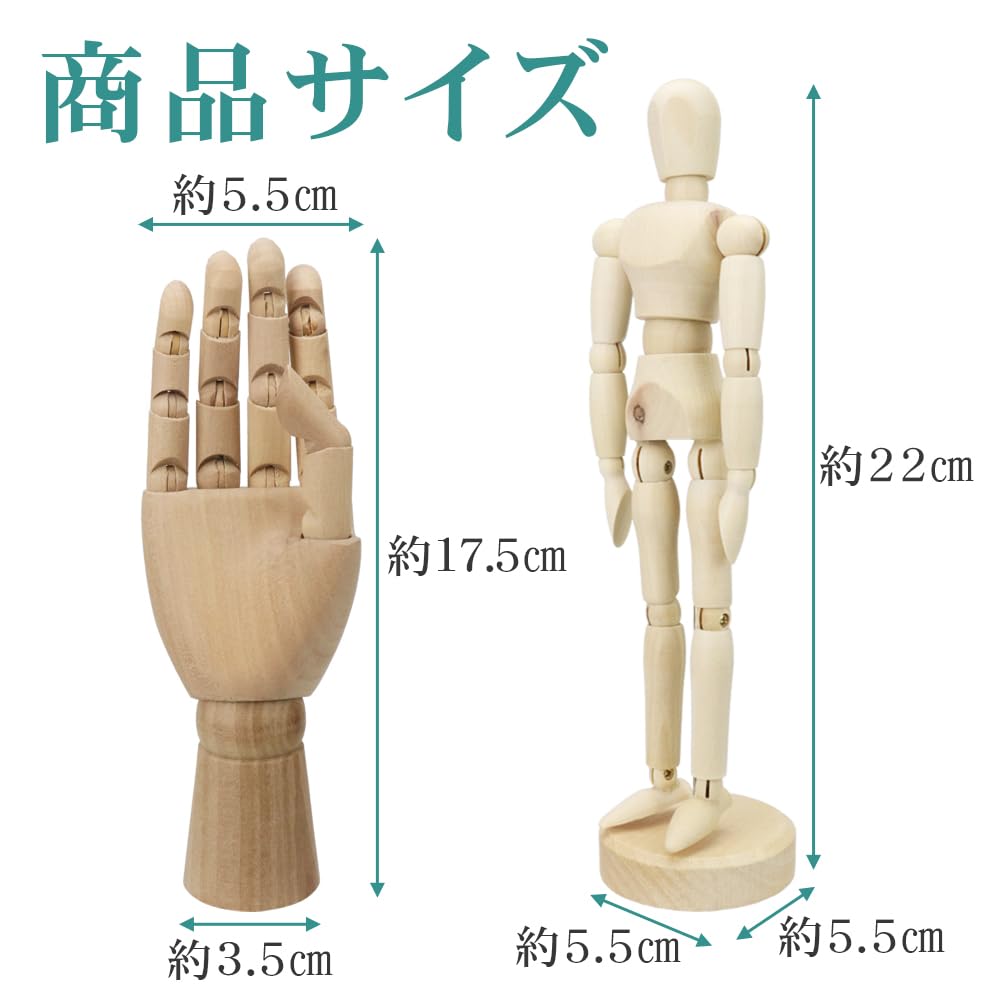 Amazon.co.jp: デッサンドール 描写 練習 関節 ポーズ 躍動感 リアル 