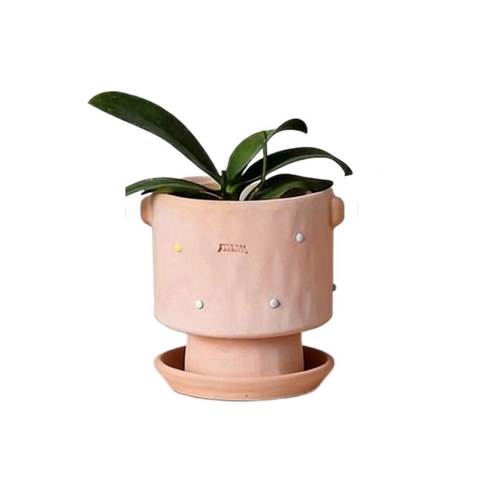 Z4T8M2K6G5 Indoor Plant Pots Colorful Glazed Ceramic Pot With Handles: A Vintage-style Designer Planter Perfect For Indoor Decor Garden Planters(Small)