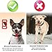 Sichy Pet Silicone Protective Case Compatible with Apple Airtag GPS Finder Dog Cat Collar Loop, Pet Loop Holder for Air_tag, for Apple Locator Tracker Anti-Lost Device