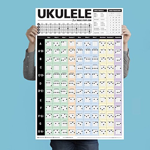 Best Music Stuff CHOOSE Popular Ukulele Chords Poster • An Educational Reference Poster cover