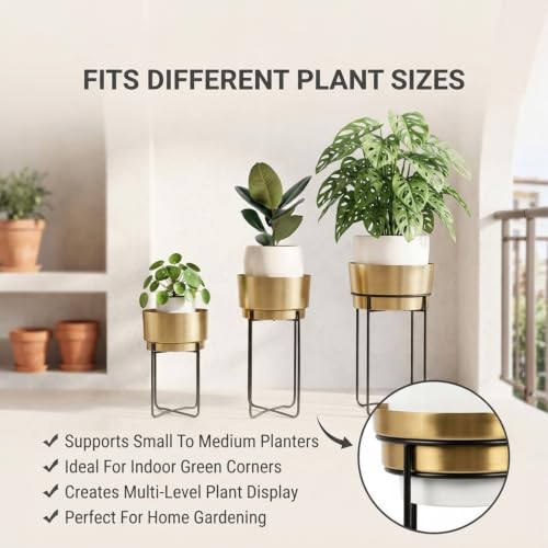 Image of TrustBasket Creata Strong Durable Premium Set of 3 (Gold) Planters for Home Decor - Plant Pots for Home Decor, Indoor Plants Stand for Living Room, Planters for Indoor Plants, Pot for Living Room