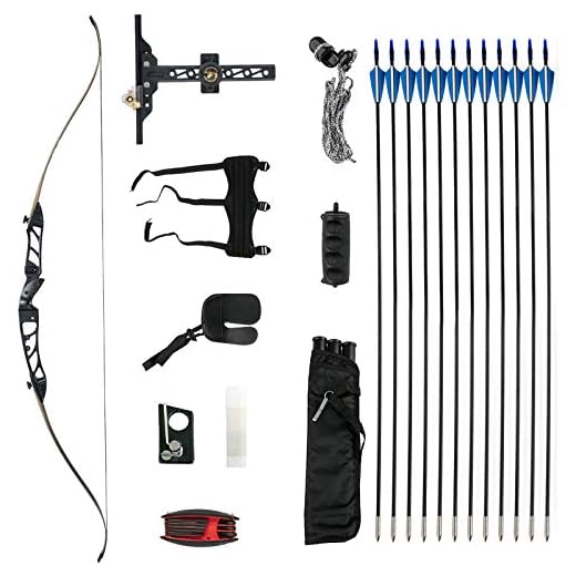 Bkisy Recurve Bow Set 20 28 32 36 38lbs Archery Bow Aluminum Alloy Takedown Recurve Bow Right Hand Bow with 12 Arrows for Adults Youth Hunting Shooting Practice Competition (Black, 30 LBS)